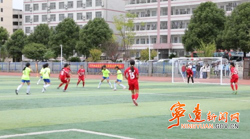 届中小学生, 比赛场地分